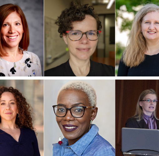 Photo collage of headshots of the 12 speakers for the Fall 2022 Integrated Toxicology & Environmental Health seminar series
