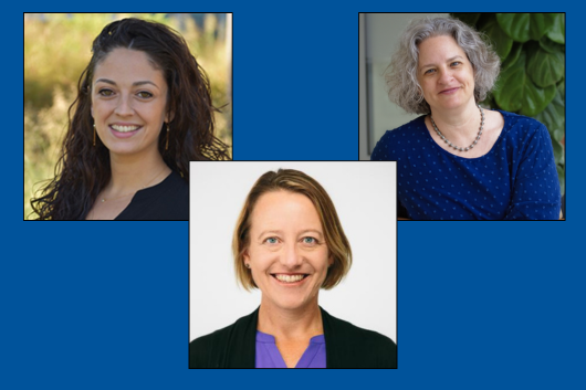 CEC and RTC presenters: Chiara Klein, Megan Hoert Hughes, Liz Shapiro-Garza, PhD
