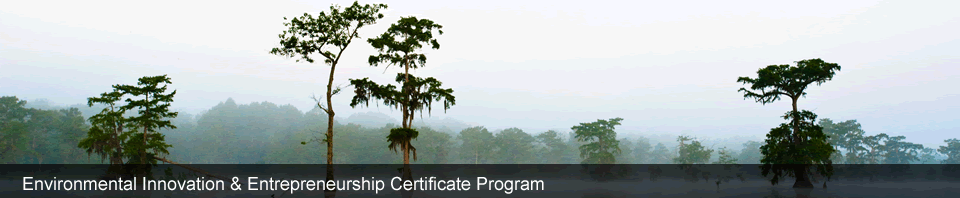 EI&E Certificate Program
