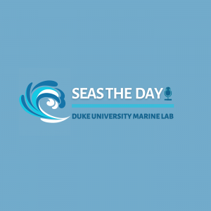 Seas the Day podcast logo