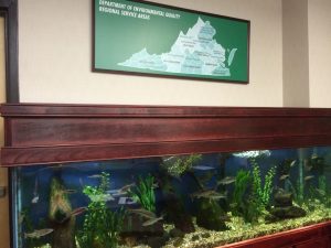 VA DEQ Fish Tank